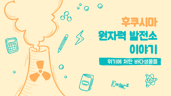 부천YWCA x 부천제자교회 ˝위기에 처한 바다생물들˝