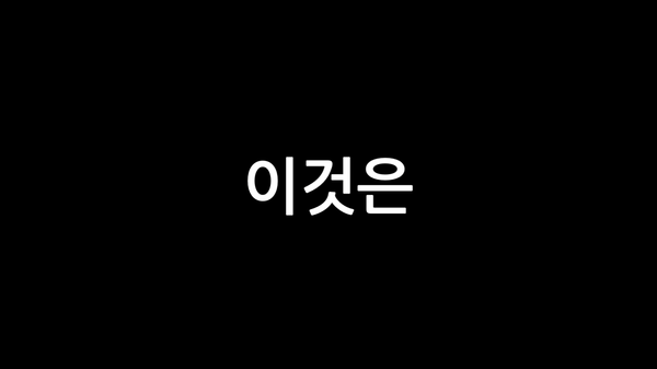 여성, 청년, 환경, 평화.. 부천YWCA의 2024년 활동 기록